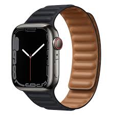 Apple Watch Leather Link Band
