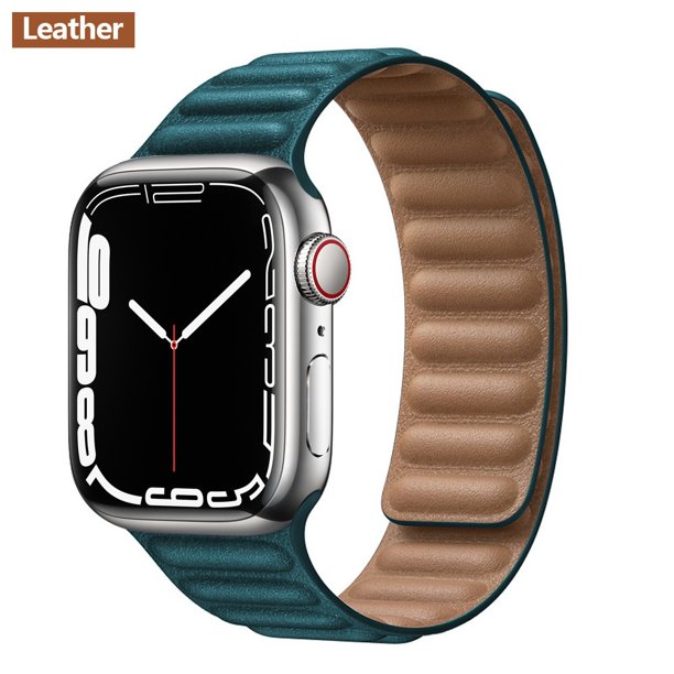 Apple Watch Leather Link Band