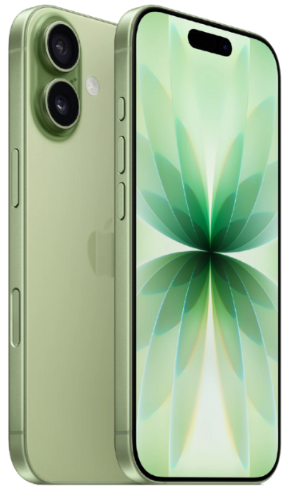 iPhone 17 (eSIM) (Open Box)